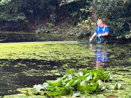 Image result for Penketh & Old Hall Angling Society