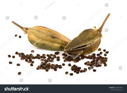 Image result for Abelmoschus moschatus