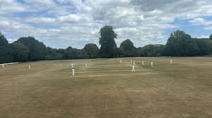 Image result for Wincanton Cricket Club