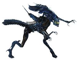 Image result for xenomorph
