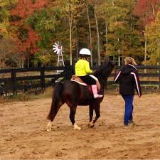 Image result for Annandale Equestrian Centre