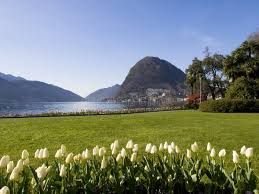 Image result for "Parco Ciani"