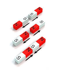 Image result for Pole Magnets