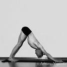 svanasana