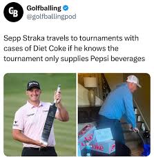 Image result for seppi tehron