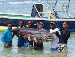 Barbados fishing