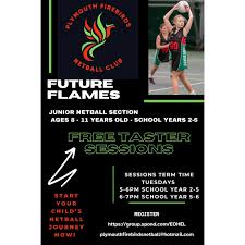 Image result for Plymouth Civil Service Netball Club