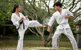 Image result for COMBAT TAEKWONDO