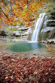 Image result for Salmo macrostigma