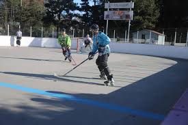 Image result for York University Street Hockey Club