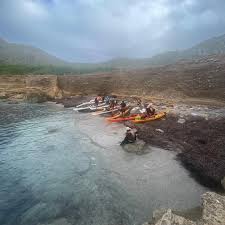 Image result for Chiswick Pier Canoe Club