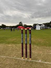 Image result for Vale Cricket Club