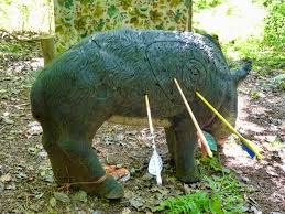 Image result for Severn Archers Archery Club