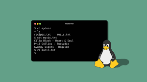 Image result for linux