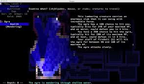 Image result for Brogue: Community Edition