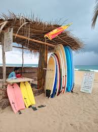 Image result for Raven Surf School
