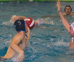 Image result for Invicta Water Polo Club