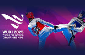 Image result for Reading Wtf Taekwondo