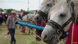 Image result for romania tehron