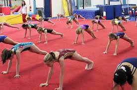 Image result for Redcar Gymnastics Club