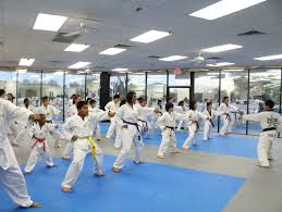 Image result for Phoenix Star Judo Club (Southwick)