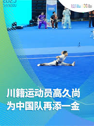 Image result for TRIANGLE CHANGQUAN FLYING DRAGON