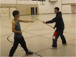 Image result for Wushu Tai Chi Club