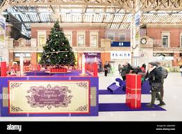 「ヴィクトリア＝パワード」の画像検索結果