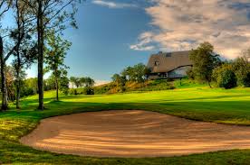 Image result for Forest Green Estonia Cricket Club