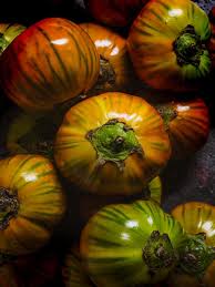 Afbeeldingsresultaat voor melanzana prosperosa eggplant