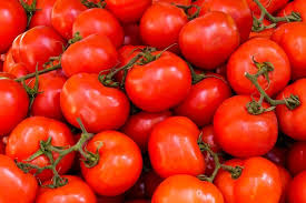 Image result for Tomate