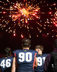 Image result for Birmingham University Lions