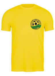 Image result for Интернет магазин футболка футбольная