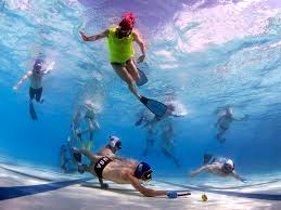 Image result for TAROT Octopush Club