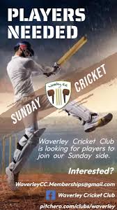Image result for Waverley Cricket Club