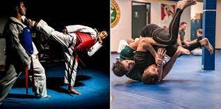 Image result for Tae-jitsu