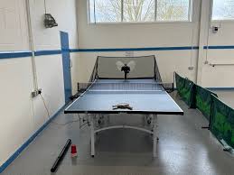 Image result for Chessington Table Tennis Club