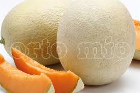 Image result for Melone