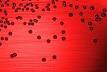 Haemophilus influenzae - Wikipedia, the free encyclopedia