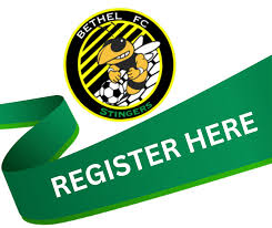 Image result for Stingers Korfball Club