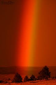 Attēlu rezultāti vaicājumam “Red Rainbows”