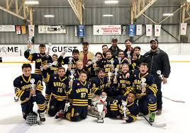 Image result for Bradford Hockey Club