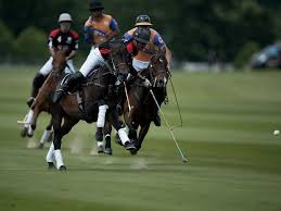 Image result for Cambridge and Newmarket Polo Club