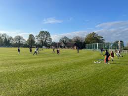 Image result for Alne Cricket Club