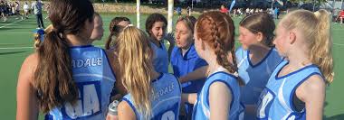 Image result for Astra Netball Club