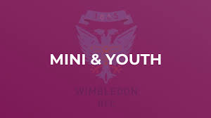 Image result for WOODRUSH RFC MINI and JUNIOR ~ & Senior