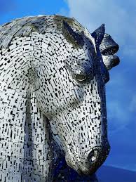 Image result for Scottish Equi Complex