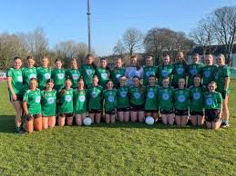 Image result for Lisnaskea Emmetts Gfc
