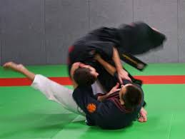 Image result for Tae-jitsu