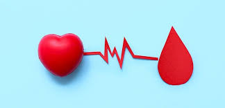 Image result for blood